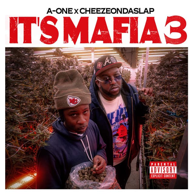 Goin Thru Some Thangs cover art