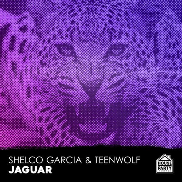 Jaguar (feat. Enjoy) - Original Mix cover art