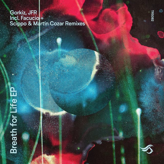 Cleansing Meditation - Scippo & Martin Cozar Remix cover art