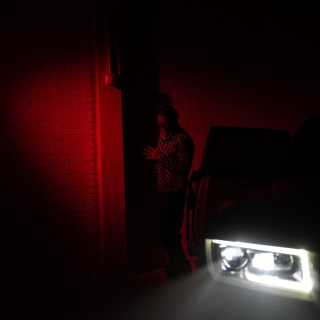 Survive cover art
