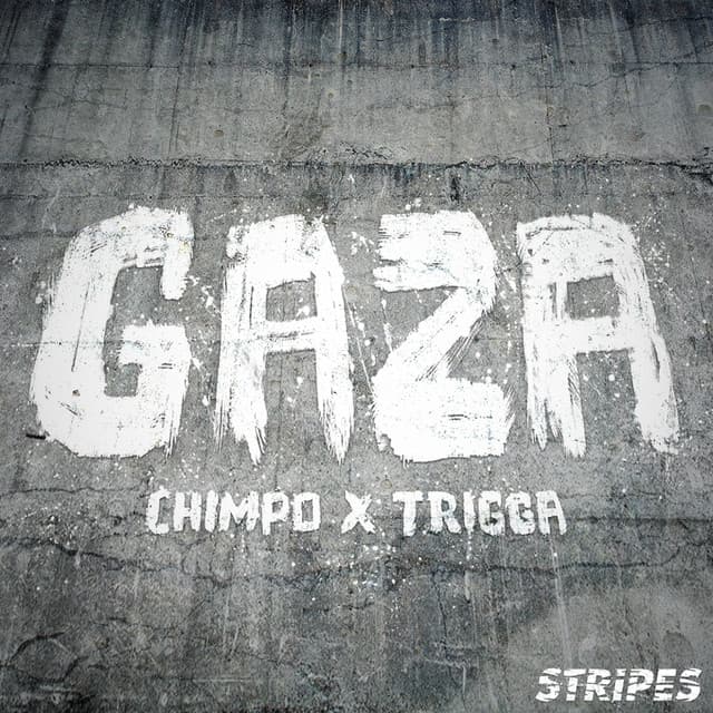 Gaza - Dub Phizix Remix cover art
