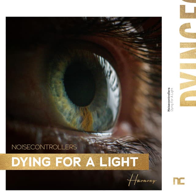 Dying For A Light cover art