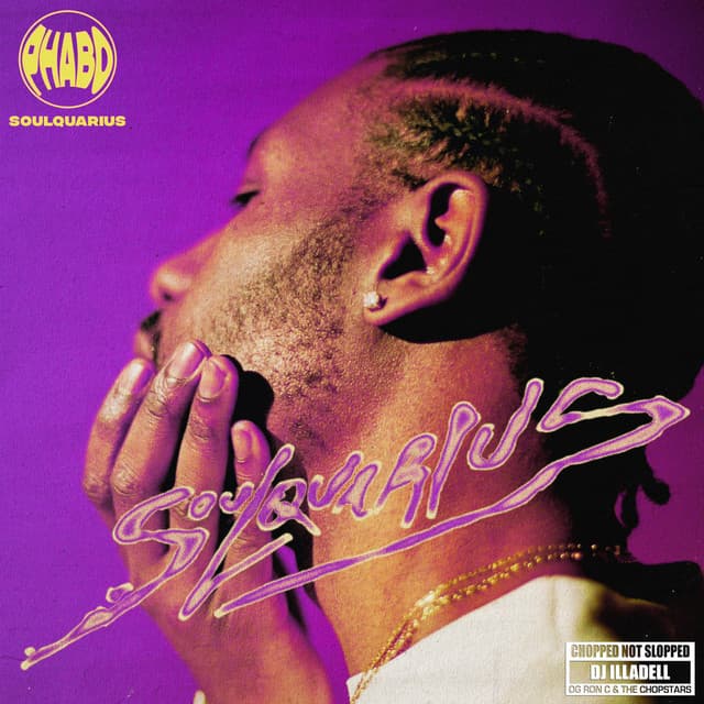 How's My Driving? - Chopped Not Slopped cover art