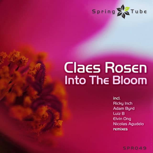 Into the Bloom - Nicolas Agudelo Remix cover art