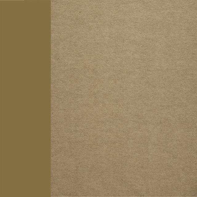 Shuffle The Paper - Jesse's Mftn Edit cover art