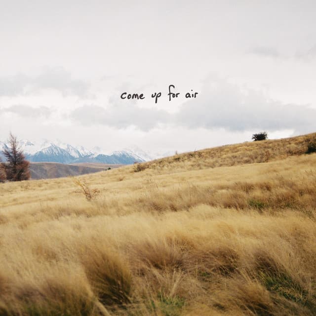 How Will I Know cover art