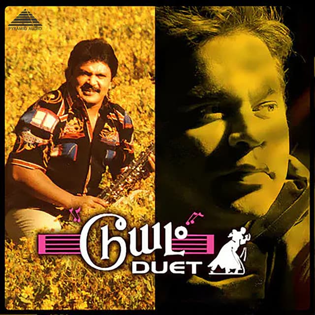 Anjali Anjali cover art