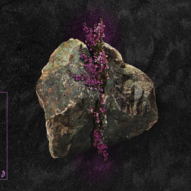 Lonely River - P.O.S & anamē Remix cover art