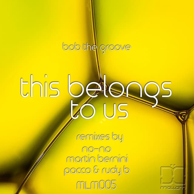 This Belongs to Us - No-No Remix cover art