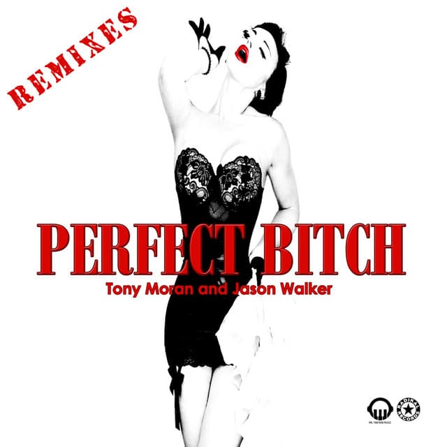 Perfect Bitch - Moto Blanco Remix cover art