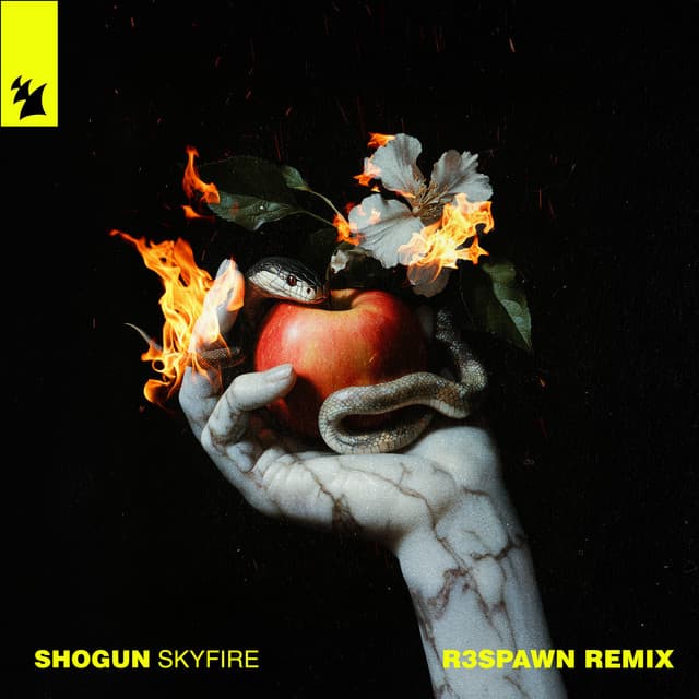 Skyfire - R3SPAWN Remix cover art