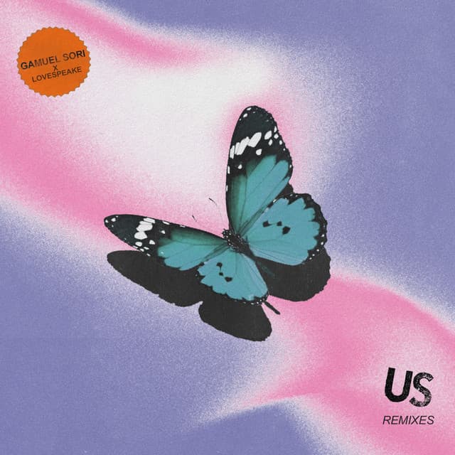 Us - Hvsh Remix cover art