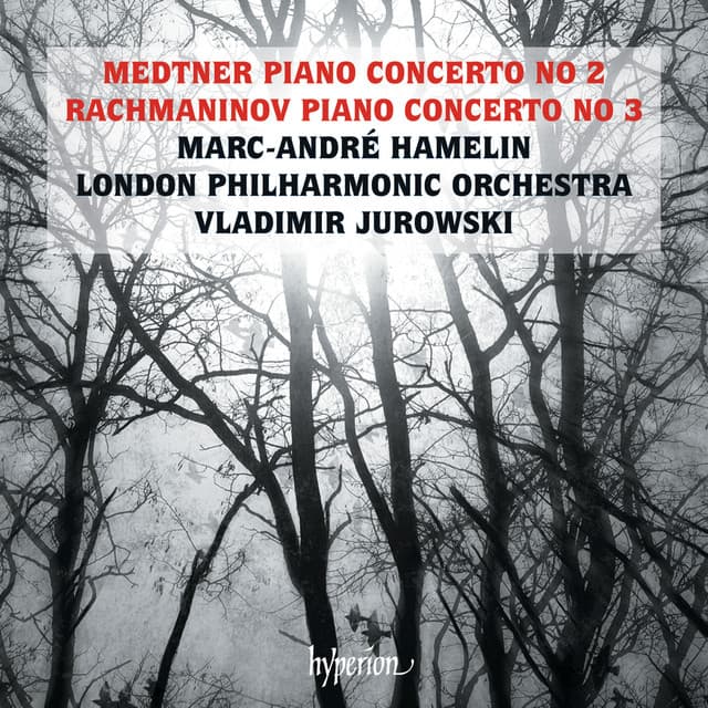 Piano Concerto No. 3 in D Minor, Op. 30: I. Allegro ma non tanto cover art