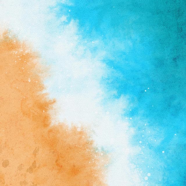 bonita cover art