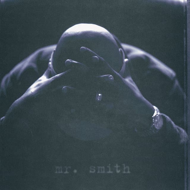 Mr. Smith cover art