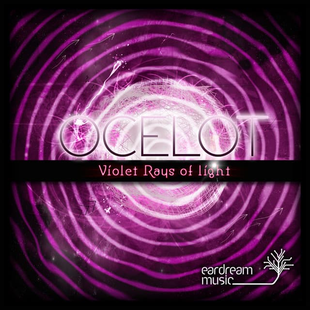Ode To Poi - Original cover art