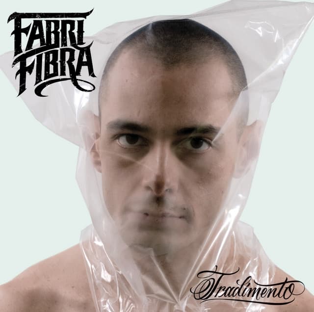 Vaffan***o scemo cover art