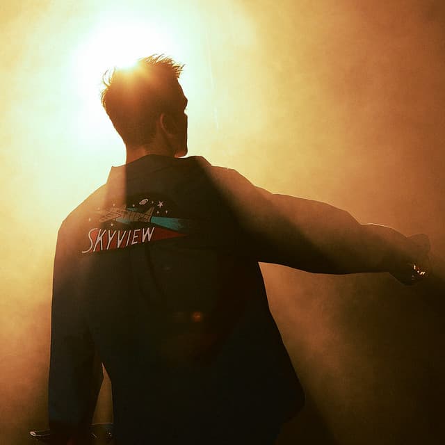 SKYVIEW (Deluxe) cover art
