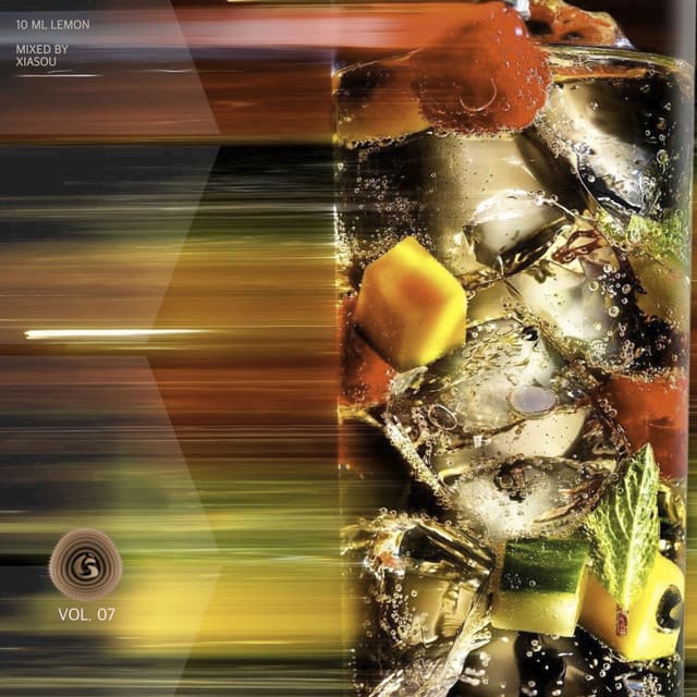 Time Travel - Land Mammal UK Remix - Mixed cover art