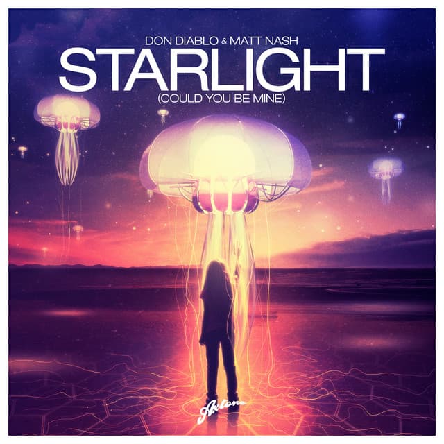 Starlight (Could You Be Mine) - Radio Edit cover art