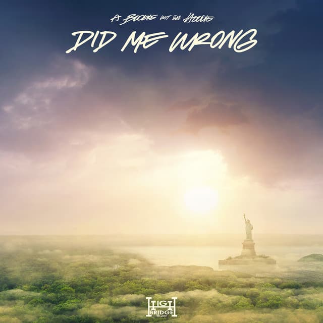 Did Me Wrong - Slowed Down cover art