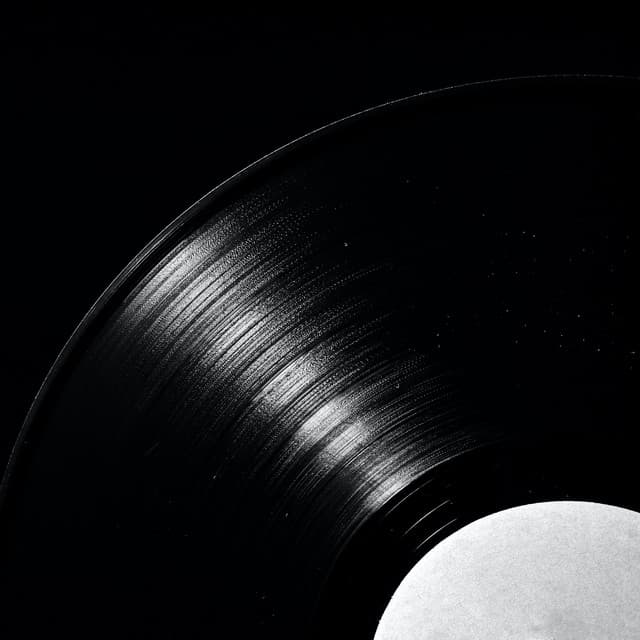 Fall In The cover art