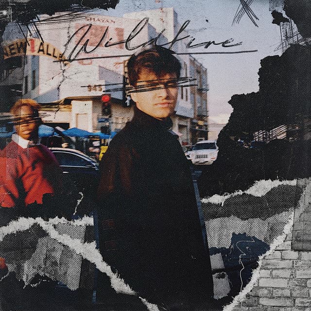 Wildfire cover art