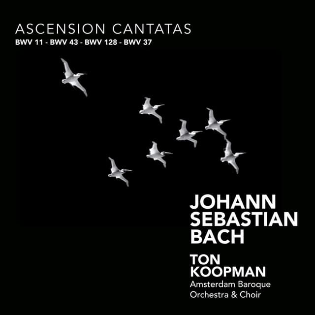 Bach: Ascension Cantatas cover art