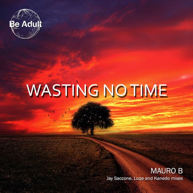 Wasting No Time - Jay Saccone Remix cover art