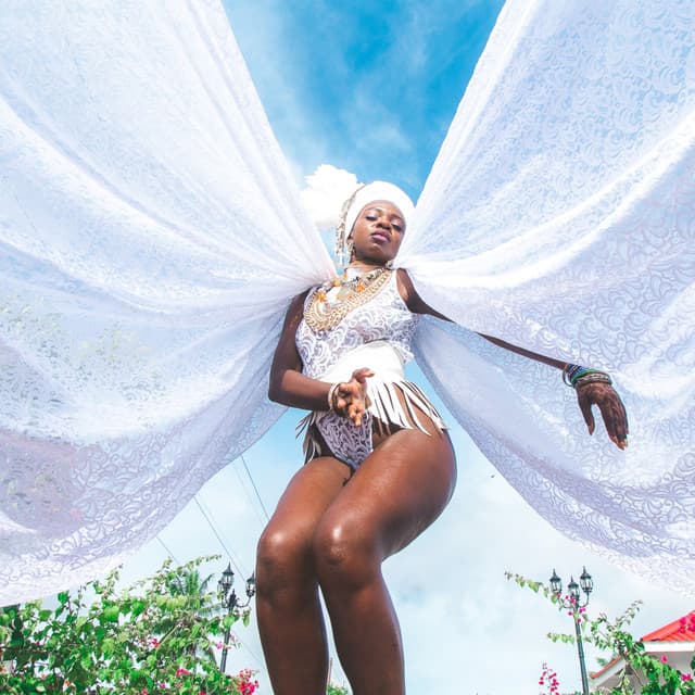 Superficial cover art