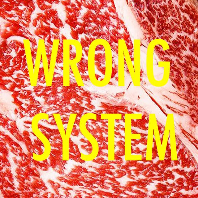 Wrong System - Nico Raibak Remix cover art