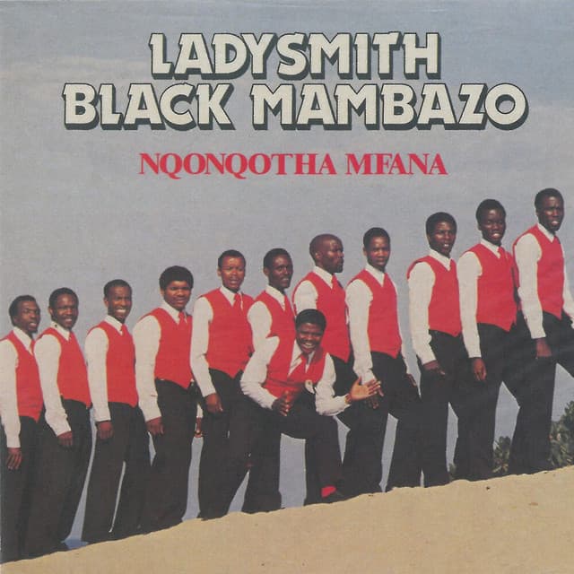 Nqonqotha Mfana cover art