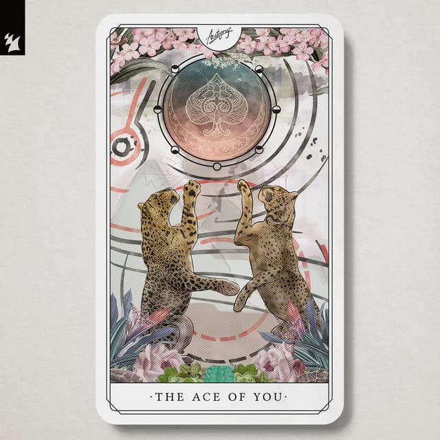 The Ace Of You cover art