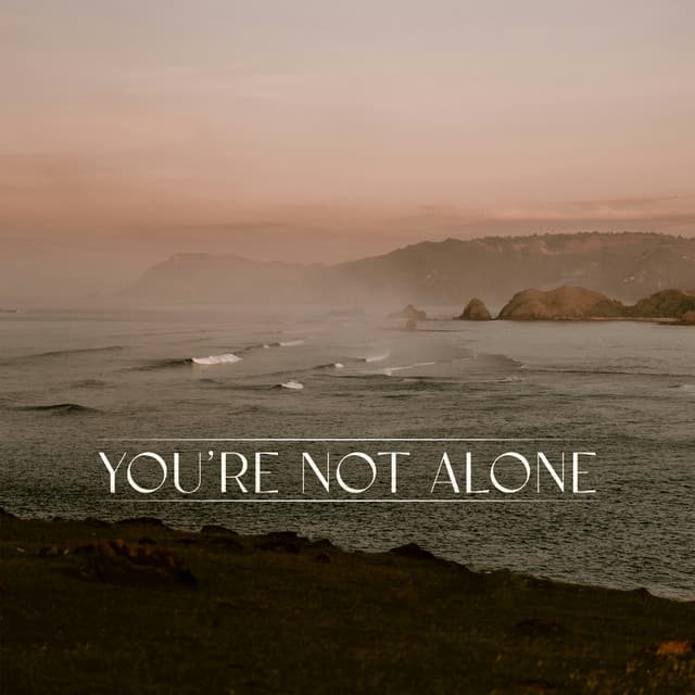 You're Not Alone - Stripped Version cover art