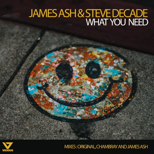What You Need - Extended Mix cover art