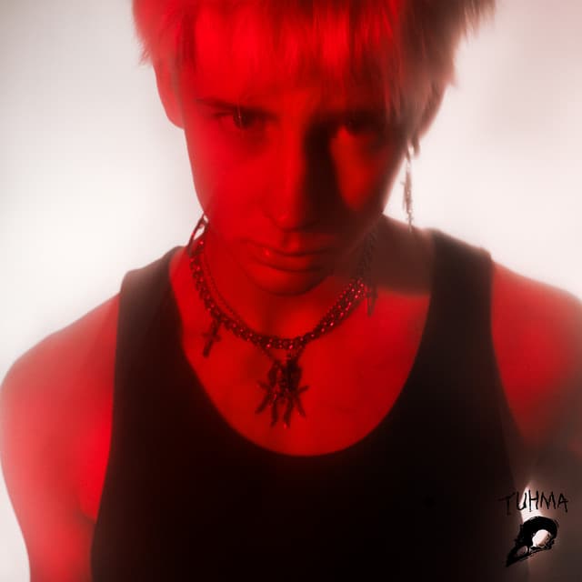 annoin mun sydämen - sped up cover art