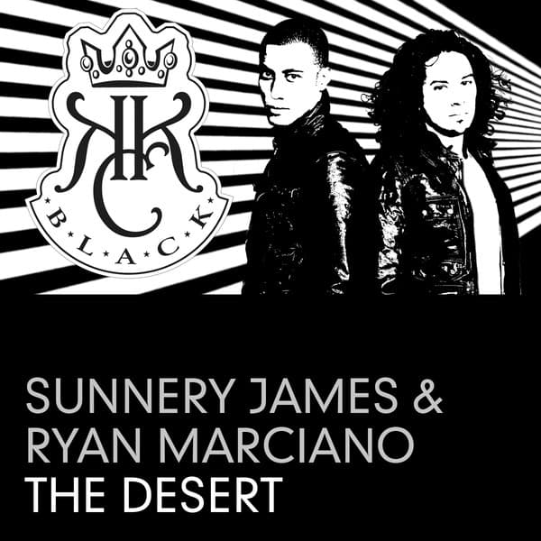 The Desert - Rehab Remix cover art