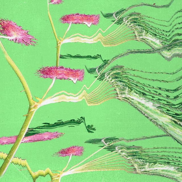 Wait cover art