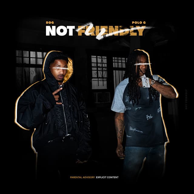 Not Friendly cover art