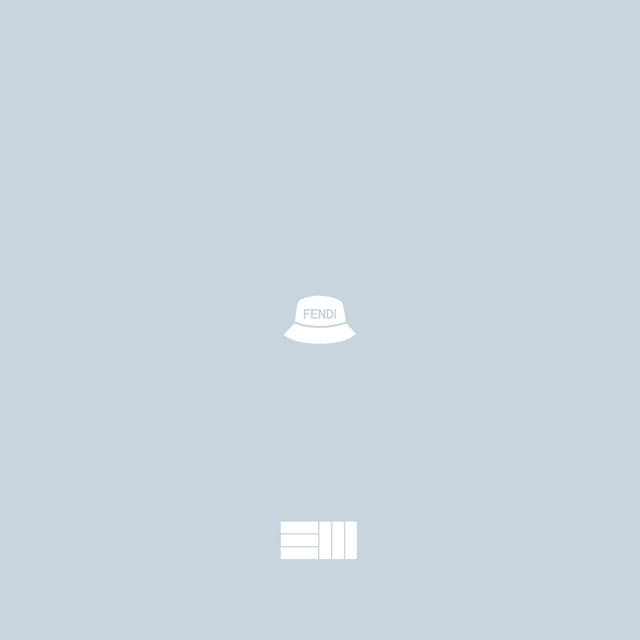 Fendi Bucket cover art