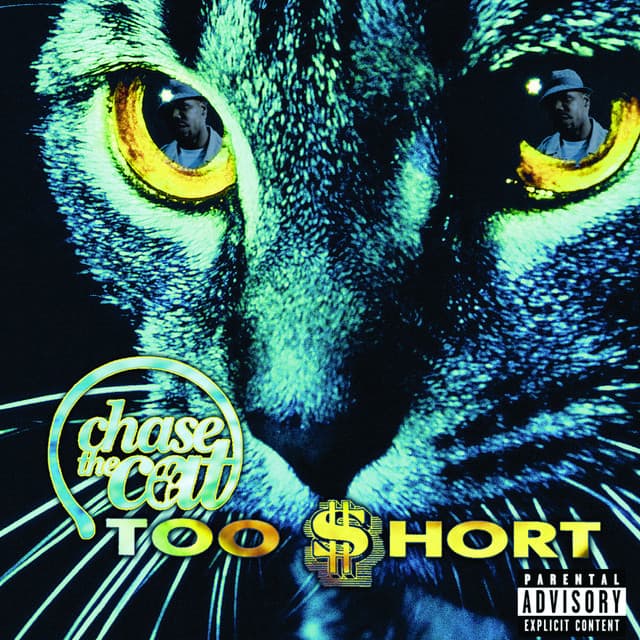 Chase the Cat (feat. Dolla Will) cover art