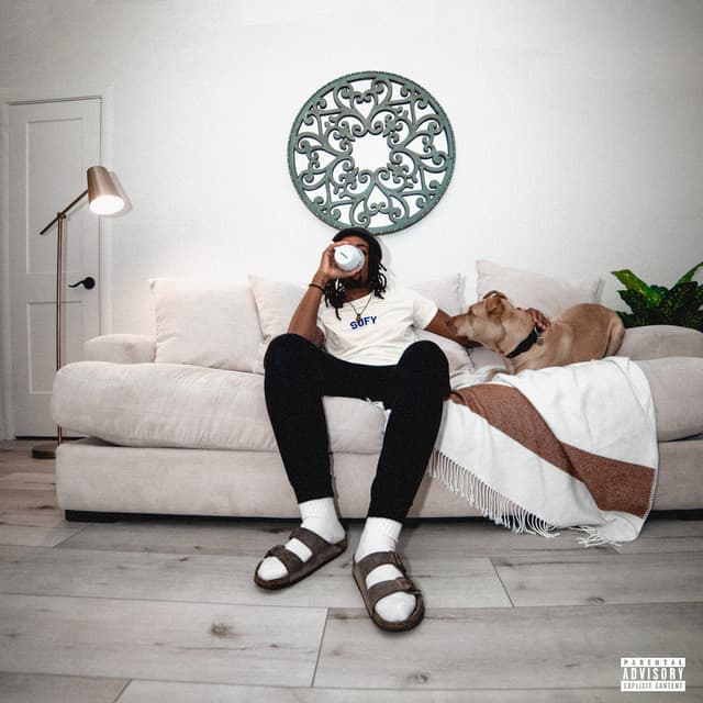 SUFY cover art