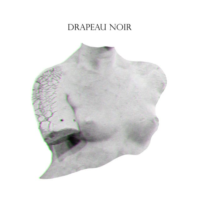 Drapeau noir cover art