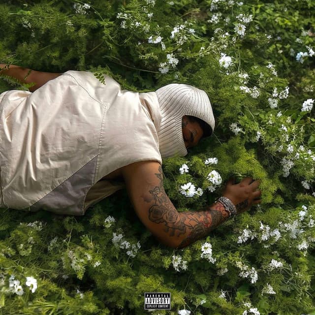 Before I Disappear Again cover art