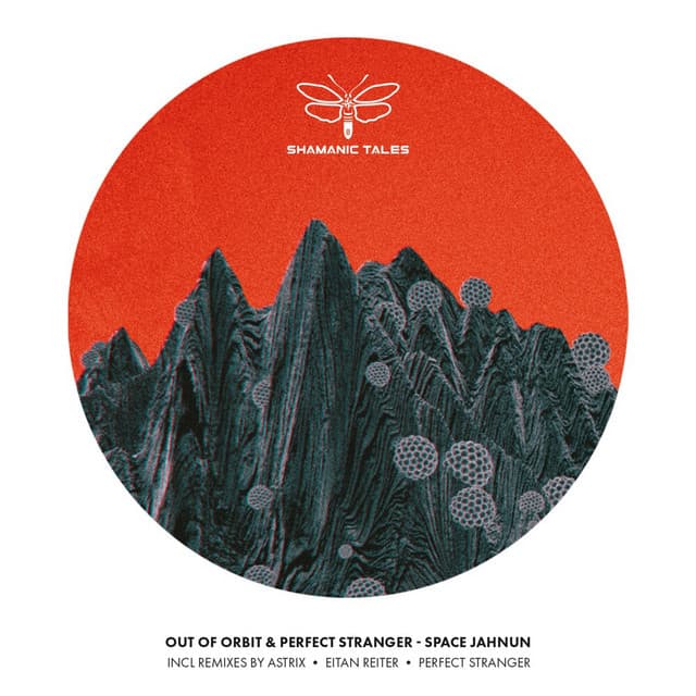 Space Jahnun (Eitan Reiter Remix) cover art