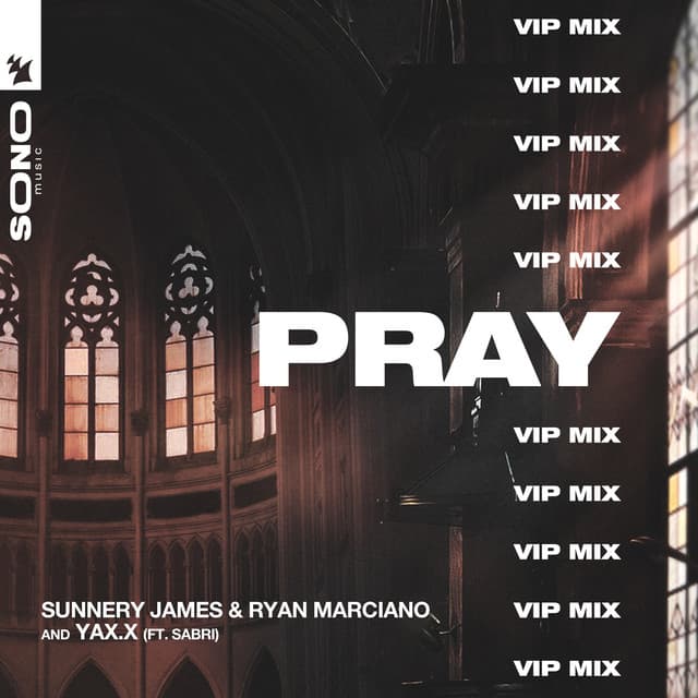PRAY - VIP Mix cover art
