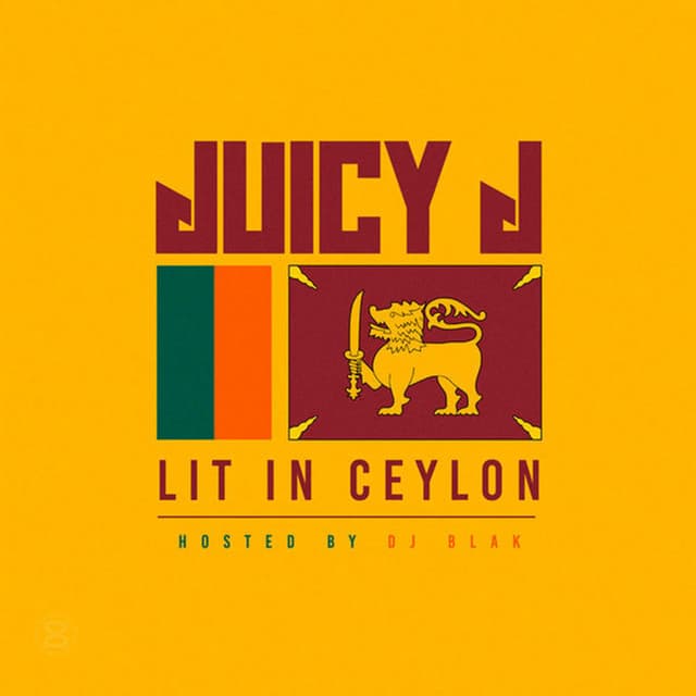 Control cover art