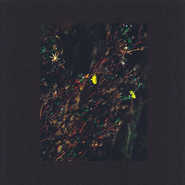 The Walker - Roman Flügel Remix cover art