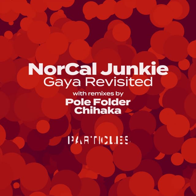 Gaya Revisited - Pole Folder Remix cover art