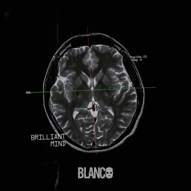 Brilliant Mind cover art